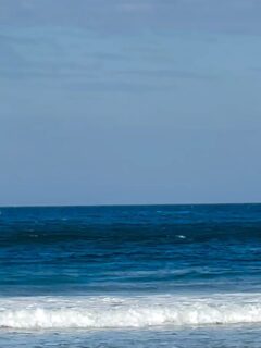 Eles voltaram.
Direto de Curitiba, pela segunda vez com a gente.
Ano passado foi chuva fina, frio no rosto e algumas aparições tímidas das baleias...
E mesmo assim, foi especial.

Mas esse ano, Garopaba se abriu pra eles com tudo.
☀️ Sol todos os dias, céu limpo, e as baleias saltando como se estivessem esperando por essa família.

Foram cinco dias de passeio, hospedagem e mais:
🐳 Teve expedição, teve descanso, teve visita ao museu —
E teve aquele tipo de conexão que só acontece quando o tempo desacelera e o lugar acolhe.

💙 Porque quando um cliente volta… a gente entende que está no caminho certo. 💙

Isa e familia obrigada pela confiança e 
Pousada Colina Verde, pela parceria 🤗