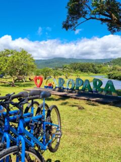 Elas voltaram. 🚲

E já estão disponíveis para Locação!!

• Bikes Aro26 turísticas 

Entregamos na sua hospedagem (consulte área de  atendimento) 

☀️ Quer garantir a sua para as férias de verão? 

🟢 Chama no WhatsApp e reserve para os dias da sua estadia em Garopaba ou região! 

● www.amogaropaba.com.br
● Whatsapp 48 9 9858.6623

#amogaropabaturismo #garopaba #rentabike #locacaodebikesemgaropaba #bikesemgaropaba #mtur #SantaCatarina #descubrasc